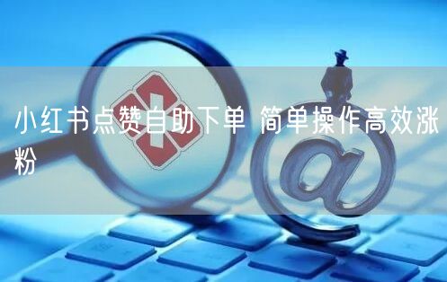 小红书点赞自助下单 简单操作高效涨粉