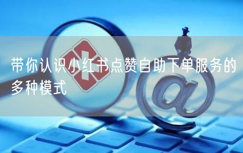 带你认识小红书点赞自助下单服务的多种模式