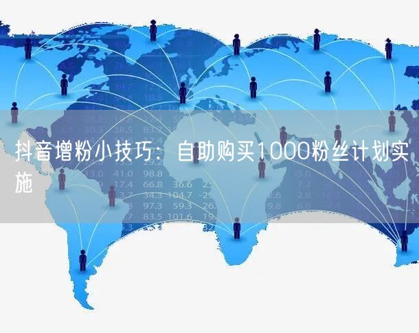 抖音增粉小技巧：自助购买1000粉丝计划实施