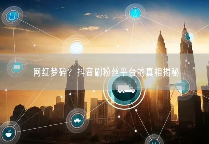 网红梦碎？抖音刷粉丝平台的真相揭秘
