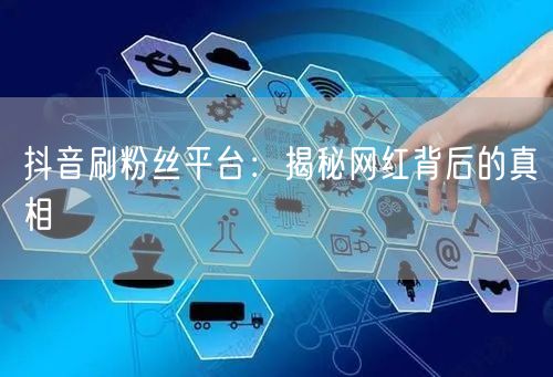 抖音刷粉丝平台：揭秘网红背后的真相