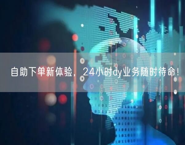 自助下单新体验，24小时dy业务随时待命！