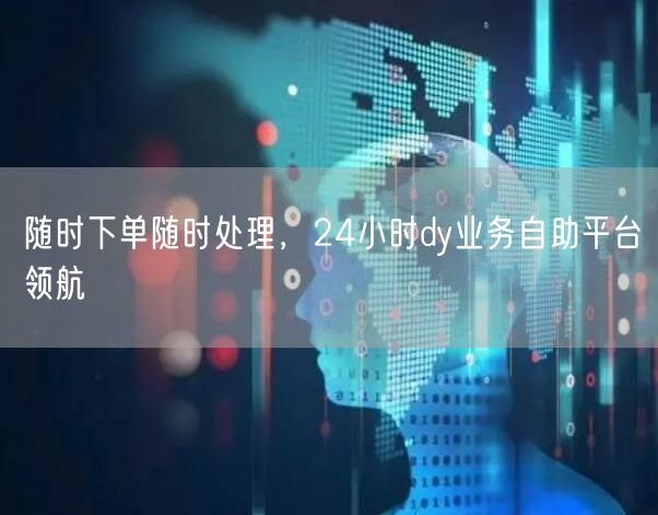 随时下单随时处理，24小时dy业务自助平台领航