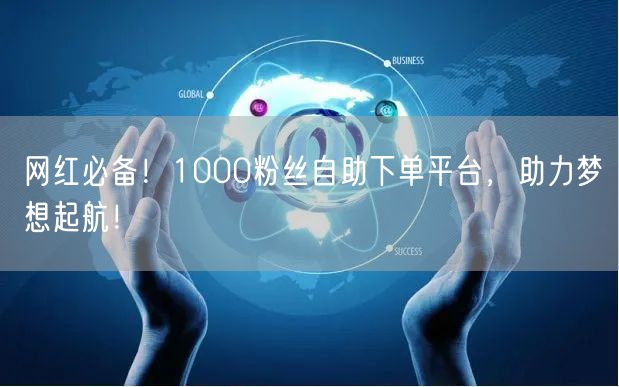 网红必备！1000粉丝自助下单平台，助力梦想起航！