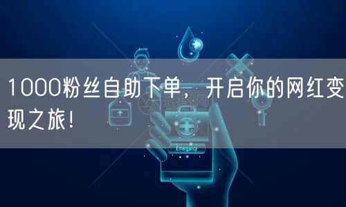 1000粉丝自助下单，开启你的网红变现之旅！