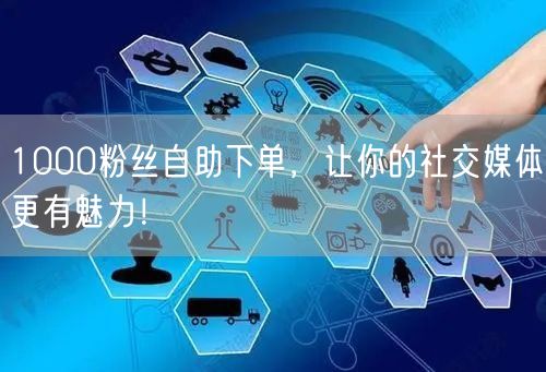 1000粉丝自助下单，让你的社交媒体更有魅力！