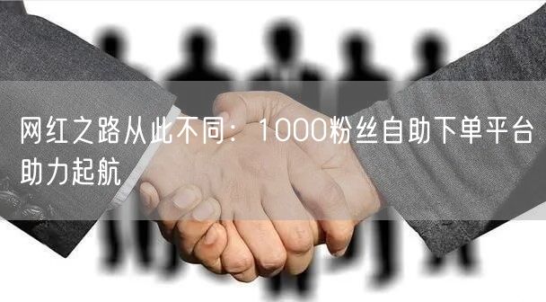 网红之路从此不同:1000粉丝自助下单平台助力起航