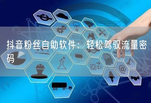抖音粉丝自助软件：轻松驾驭流量密码
