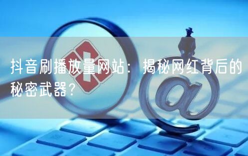 抖音刷播放量网站：揭秘网红背后的秘密武器？