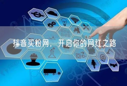 抖音买粉网，开启你的网红之路