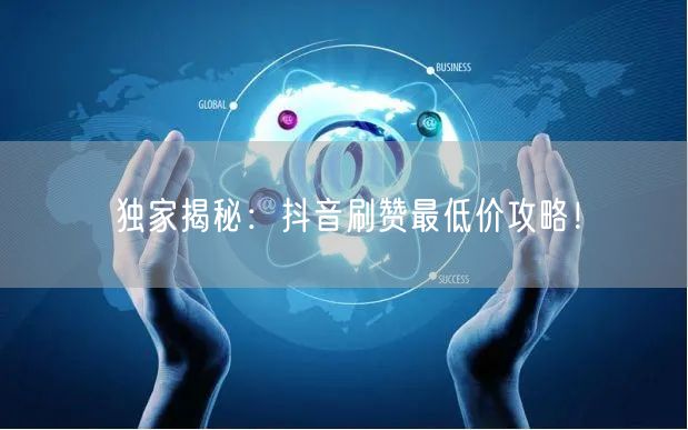独家揭秘：抖音刷赞最低价攻略！