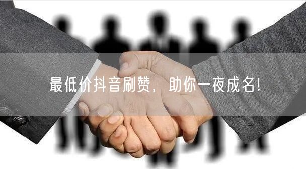 最低价抖音刷赞，助你一夜成名！