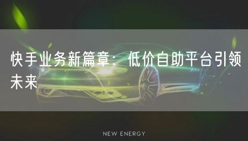 快手业务新篇章:低价自助平台引领未来