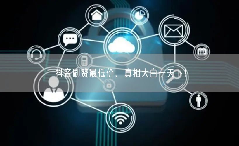 抖音刷赞最低价，真相大白于天下！