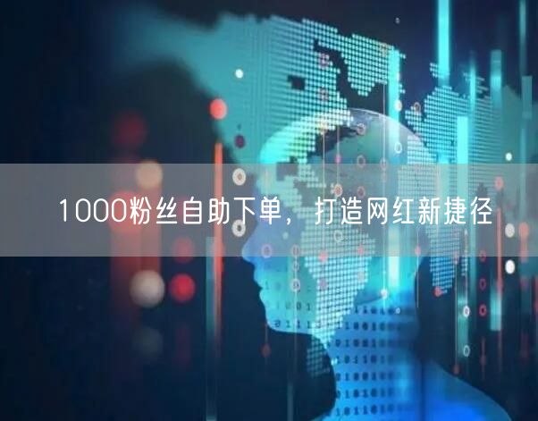 1000粉丝自助下单，打造网红新捷径