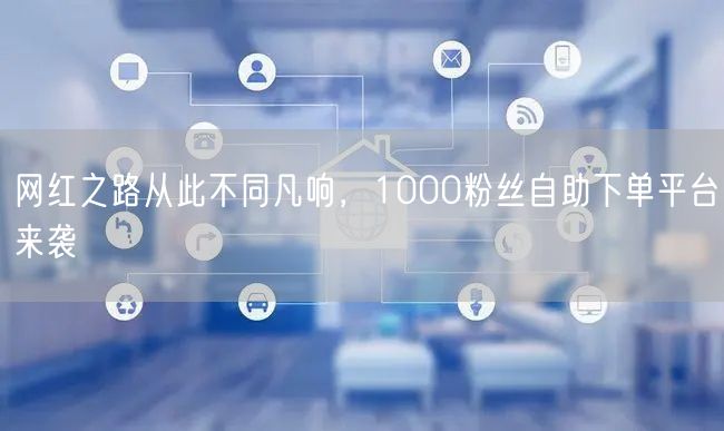 网红之路从此不同凡响，1000粉丝自助下单平台来袭