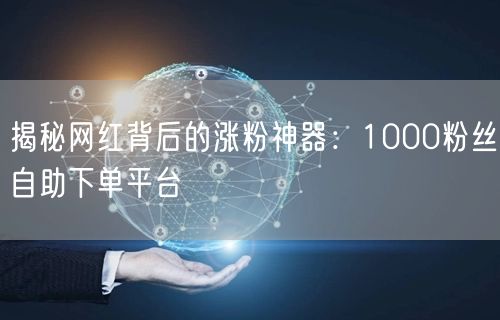 揭秘网红背后的涨粉神器：1000粉丝自助下单平台