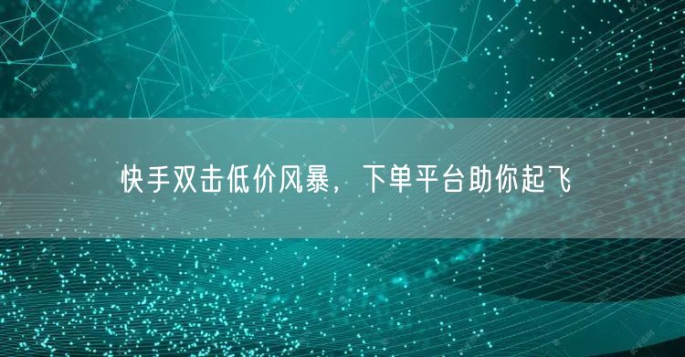 快手双击低价风暴，下单平台助你起飞