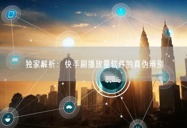 独家解析：快手刷播放量软件的真伪辨别