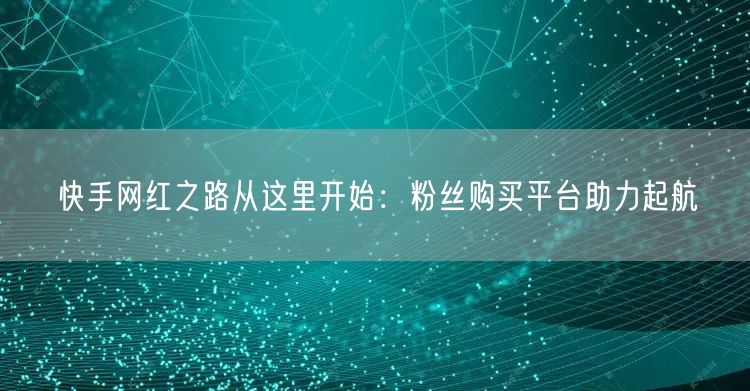 快手网红之路从这里开始:粉丝购买平台助力起航