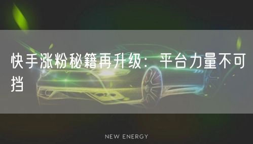 快手涨粉秘籍再升级：平台力量不可挡