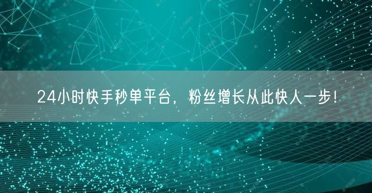 24小时快手秒单平台,粉丝增长从此快人一步!