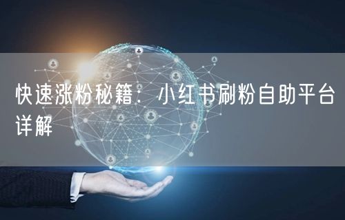快速涨粉秘籍：小红书刷粉自助平台详解