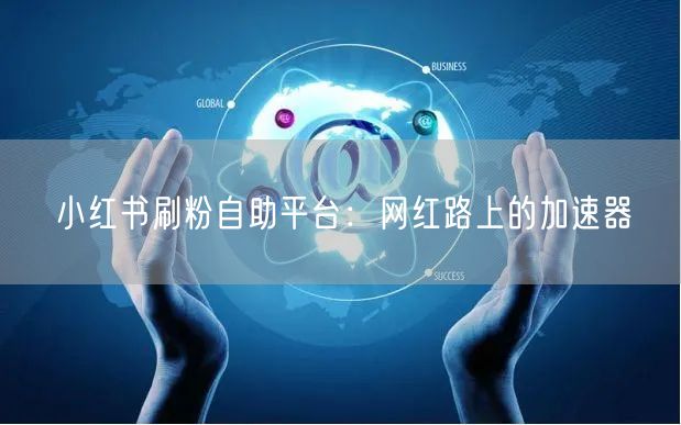 小红书刷粉自助平台：网红路上的加速器