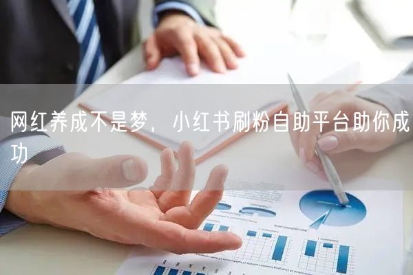网红养成不是梦，小红书刷粉自助平台助你成功