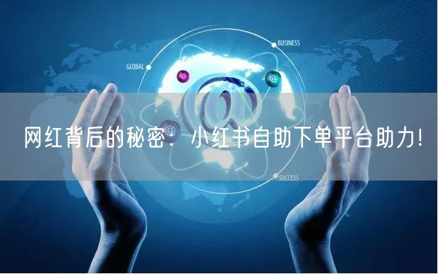 网红背后的秘密：小红书自助下单平台助力！