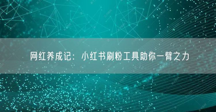 网红养成记：小红书刷粉工具助你一臂之力