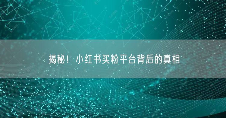 揭秘！小红书买粉平台背后的真相