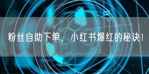 粉丝自助下单，小红书爆红的秘诀！