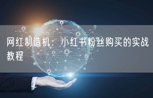 网红制造机：小红书粉丝购买的实战教程
