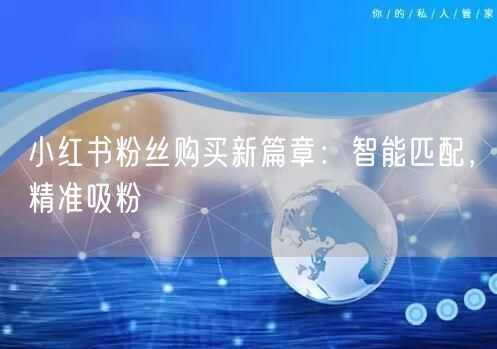 小红书粉丝购买新篇章:智能匹配,精准吸粉