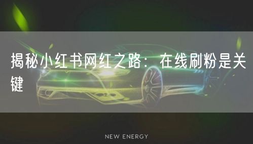 揭秘小红书网红之路：在线刷粉是关键