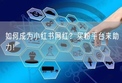 如何成为小红书网红？买粉平台来助力！