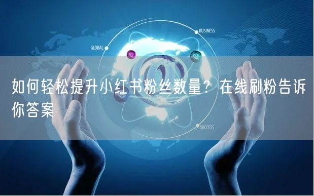 如何轻松提升小红书粉丝数量？在线刷粉告诉你答案
