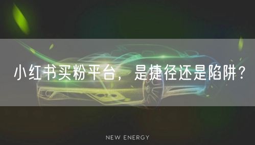 小红书买粉平台，是捷径还是陷阱？
