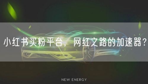 小红书买粉平台，网红之路的加速器？