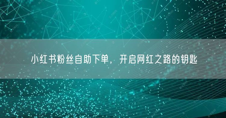 小红书粉丝自助下单，开启网红之路的钥匙