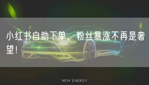 小红书自助下单，粉丝暴涨不再是奢望！