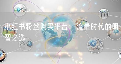 小红书粉丝购买平台：流量时代的明智之选