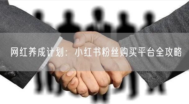 网红养成计划：小红书粉丝购买平台全攻略