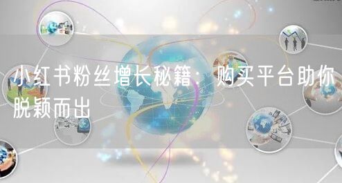 小红书粉丝增长秘籍:购买平台助你脱颖而出