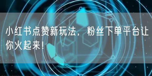 小红书点赞新玩法,粉丝下单平台让你火起来!