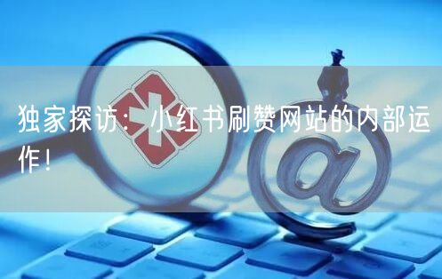 独家探访:小红书刷赞网站的内部运作!