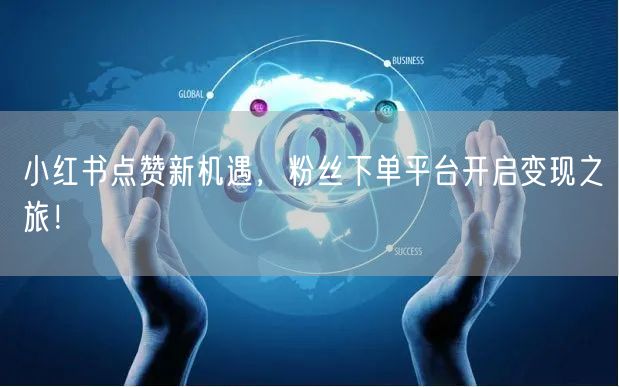 小红书点赞新机遇,粉丝下单平台开启变现之旅!