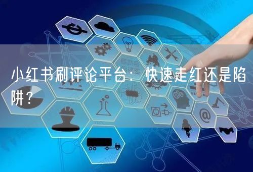 小红书刷评论平台：快速走红还是陷阱？