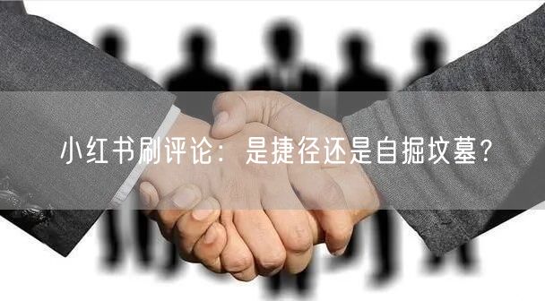 小红书刷评论：是捷径还是自掘坟墓？